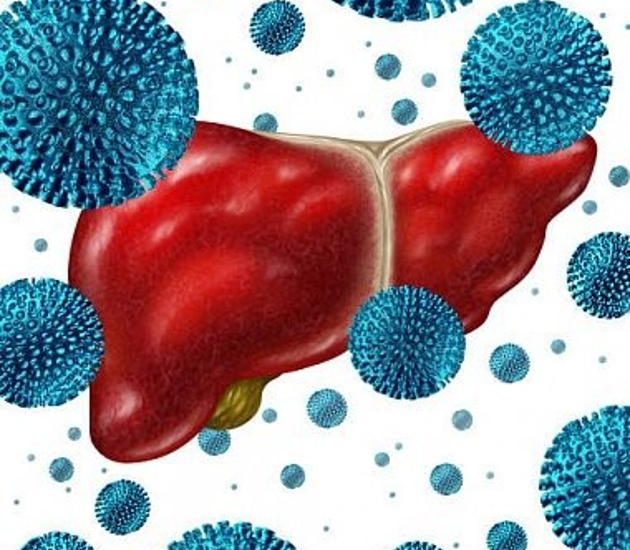 гепатит-А-630x550-1