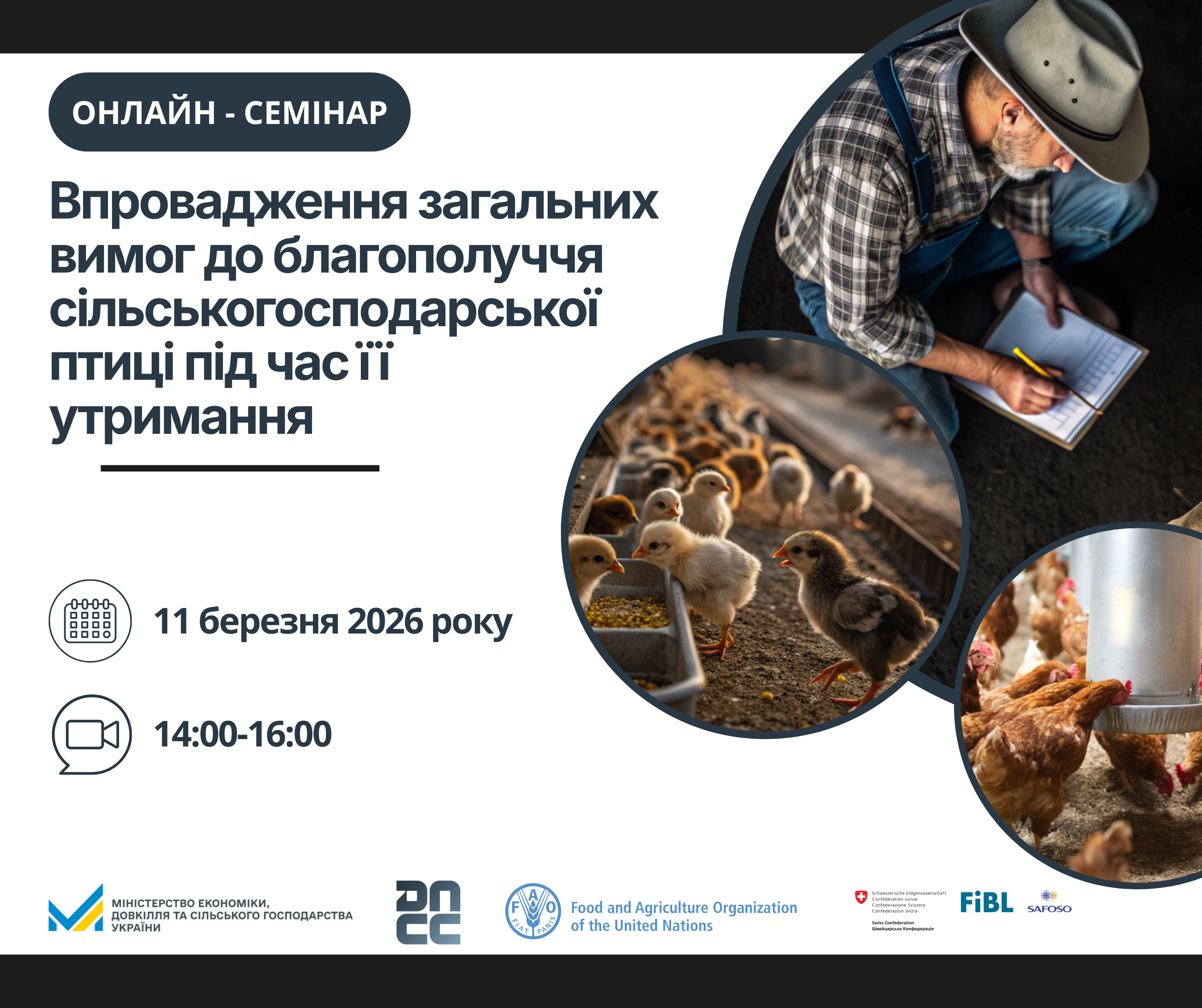 Семінар птиця